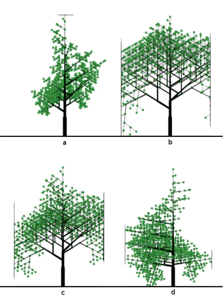 Procedural trees